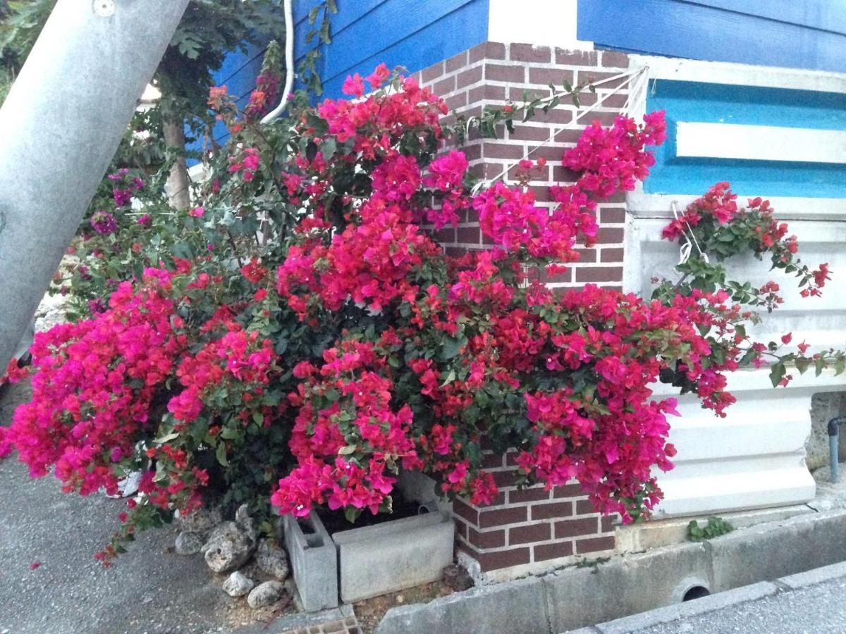 Sesoko Terrace 2 Minutes To The Beach Ocean View Motobu Exterior foto